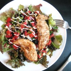 Green Salsa Chicken