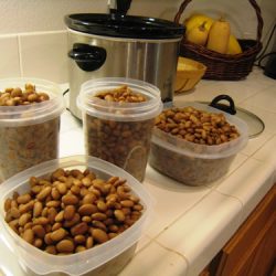 Seasoned Pinto Beans