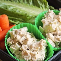 Chicken Salad Cups Packed Lunch
