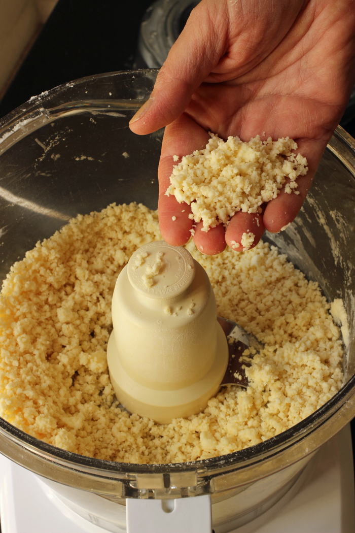 hand holding crumbs from food processor