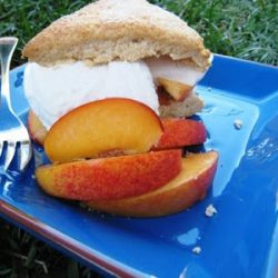 A peach shortcake on a plate