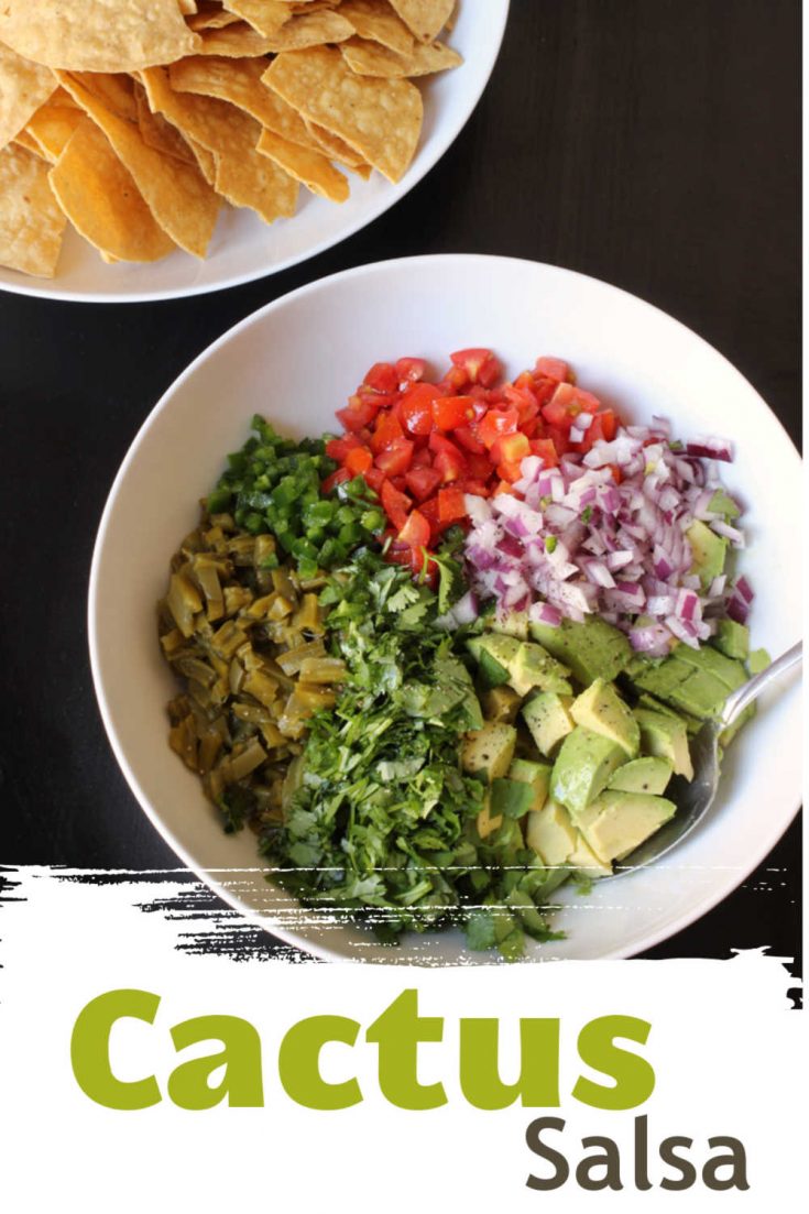 Try Cactus Salsa for a Unique Party Appetizer Good Cheap Eats