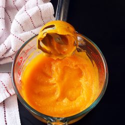 butternut squash puree with immersion blender