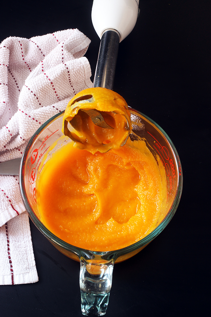 butternut squash puree with immersion blender