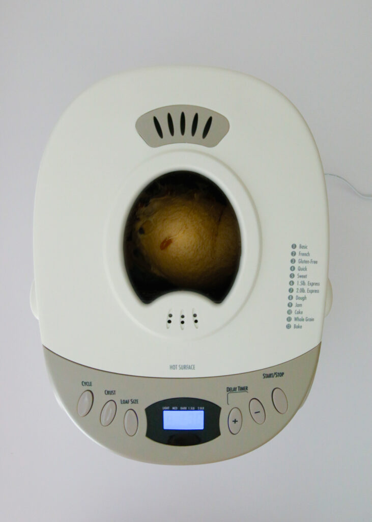 the dough rising in bread machine.