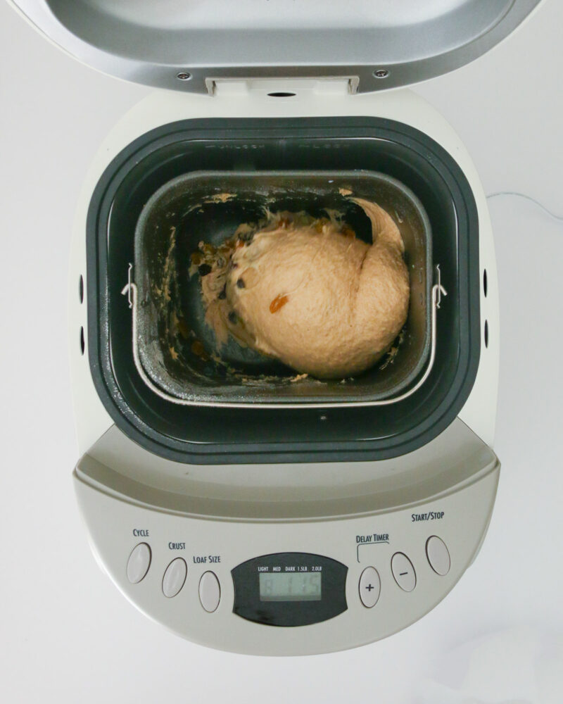 the dough ready to rise in bread maker.