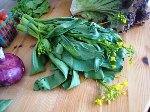 yu choy and other vegetables on a cutting board