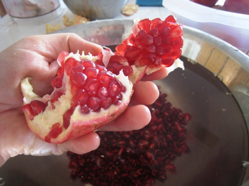 holding portion of pomegranate over bowl of water