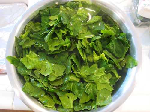 A bowl of Spinach