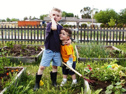 boys standing in a garden