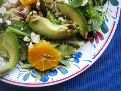 close up of a plate of salad 