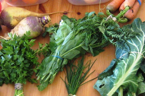 pea tendrils A table topped with different types of vegetables