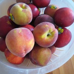 What To Do With Peaches Recipe Peach Salsa