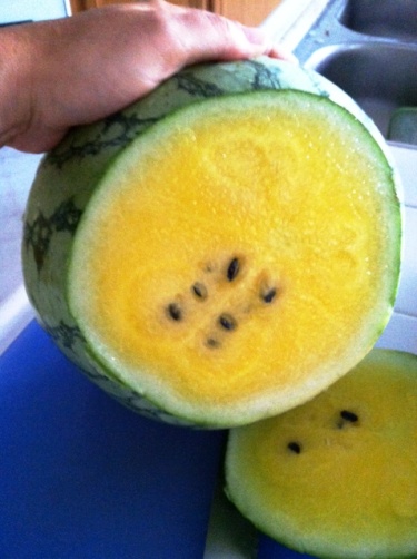 yellow watermelon sliced open