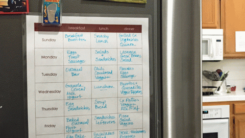 weekly meal plan on the fridge