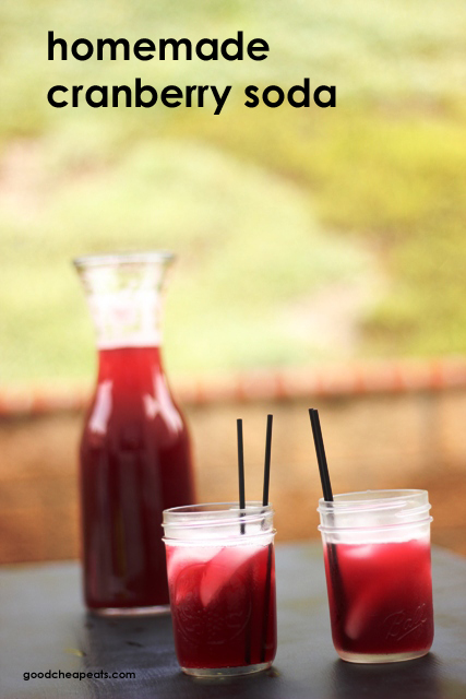 Homemade Cranberry Soda Good Cheap Eats