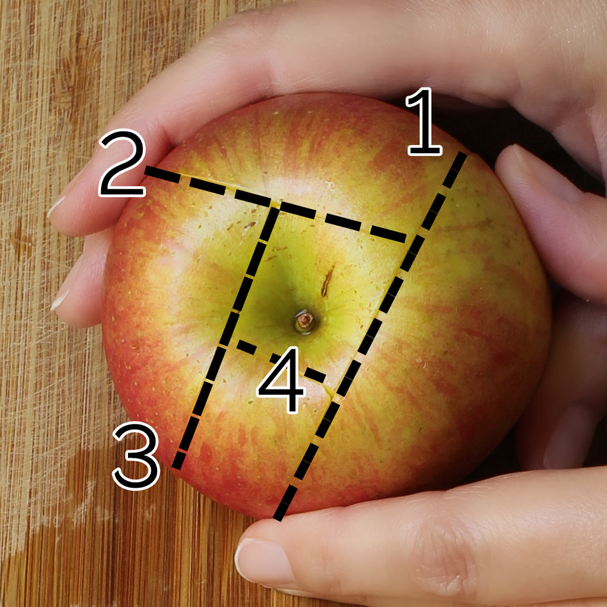 illustrated image of cutting apple around the core.