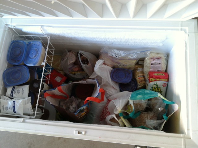 frozen foods organized in shopping bags in deep freezer