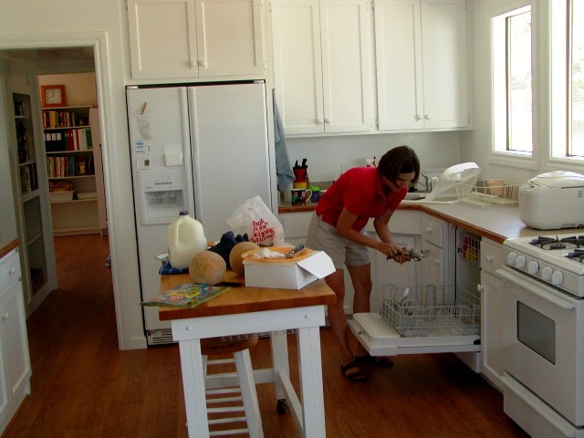 A woman loading the dishwasher