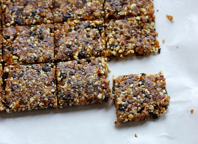 Mamabars (aka DIY Larabar Recipe) | Good Cheap Eats