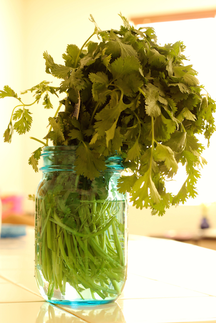 a jar of cilantro on table