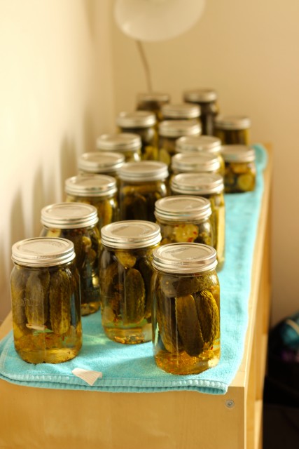 multiple mason jars of pickles