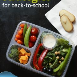 pinterest photo of divided lunch box filled with healthy food