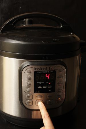 How to Cook Great Rice in Your Instant Pot - Good Cheap Eats
