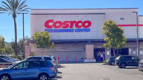 costco business sign on front of building with parking in foreground, a palm tree against blue sky is to the side.