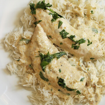 close up of creamy chicken on bed of rice