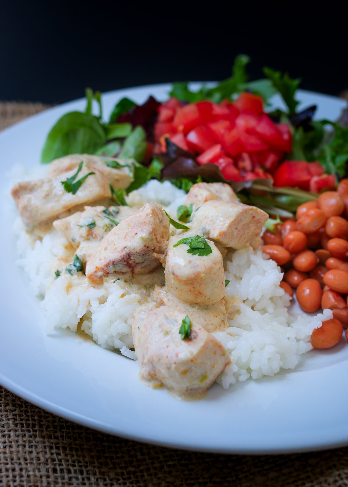 side view of sour cream chicken on cooked rice with beans and salad on the plate.
