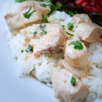 close up of sour cream chicken on rice.