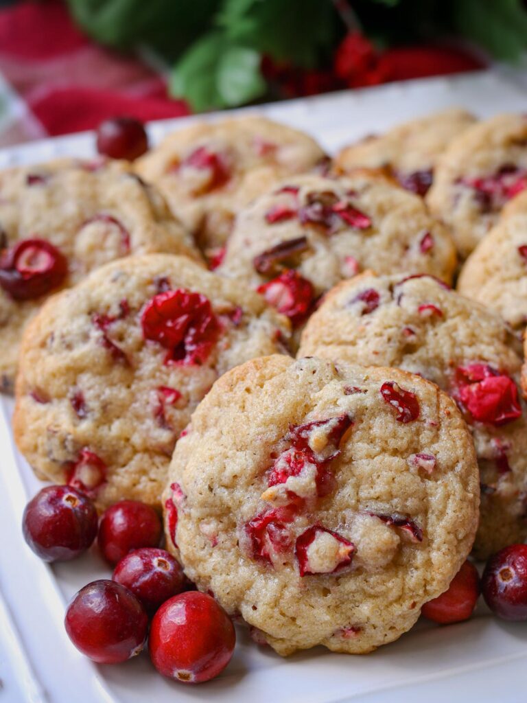 Cranberry Cookies - Good Cheap Eats