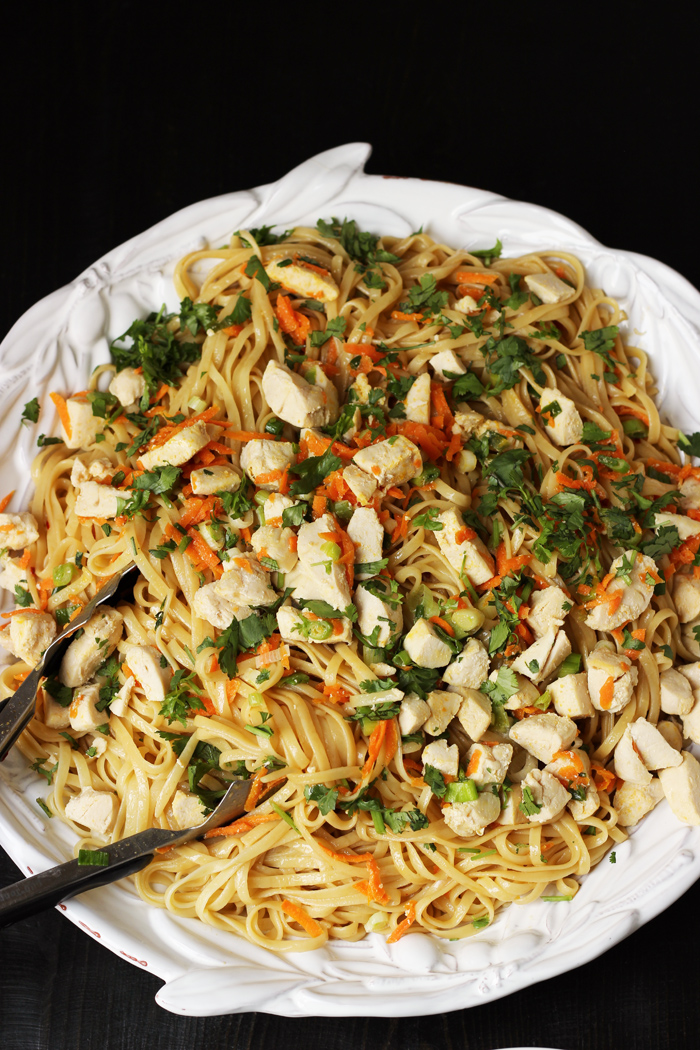 bowl of peanut butter chicken and noodles