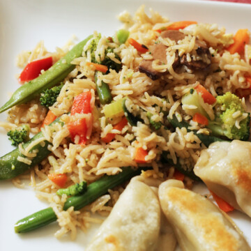 vegetable fried rice on plate with potstickers