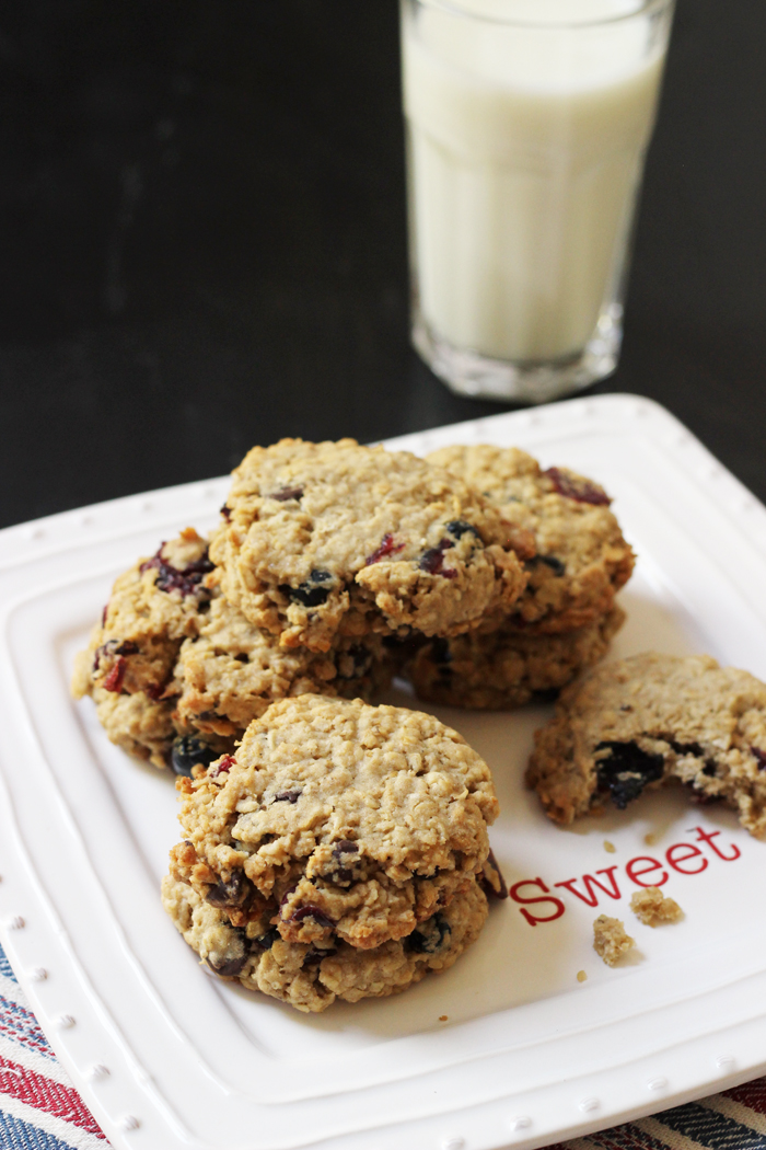 Cranberry Blueberry Oatmeal Cookies - Good Cheap Eats