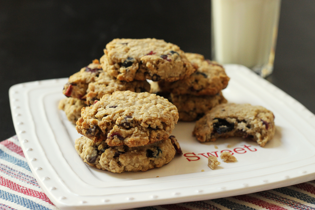 Cranberry Blueberry Oatmeal Cookies - Good Cheap Eats