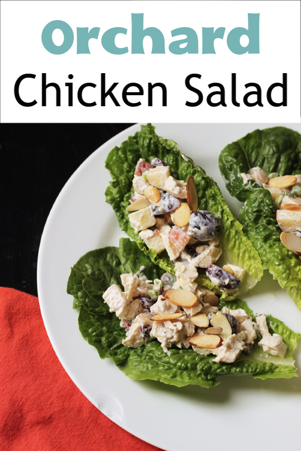 Orchard Chicken Salad wraps on plate