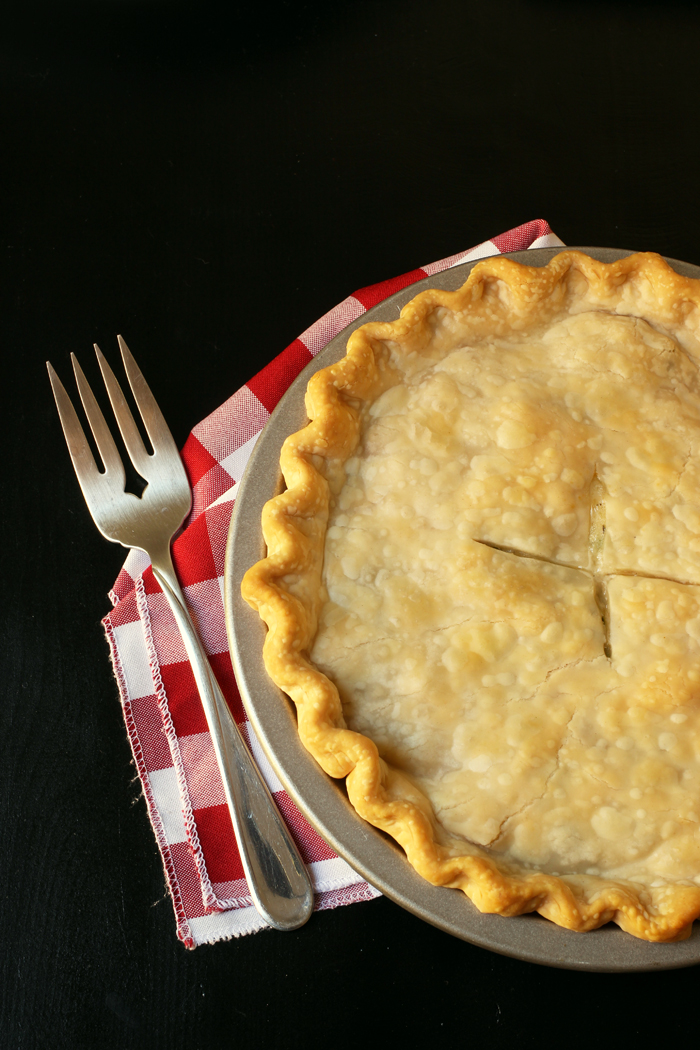 baked chicken pot pie on red checked cloth with serving fork