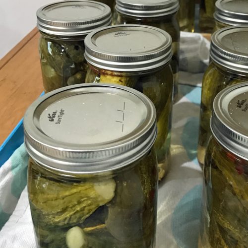How To Make Homemade Dill Pickles Good Cheap Eats