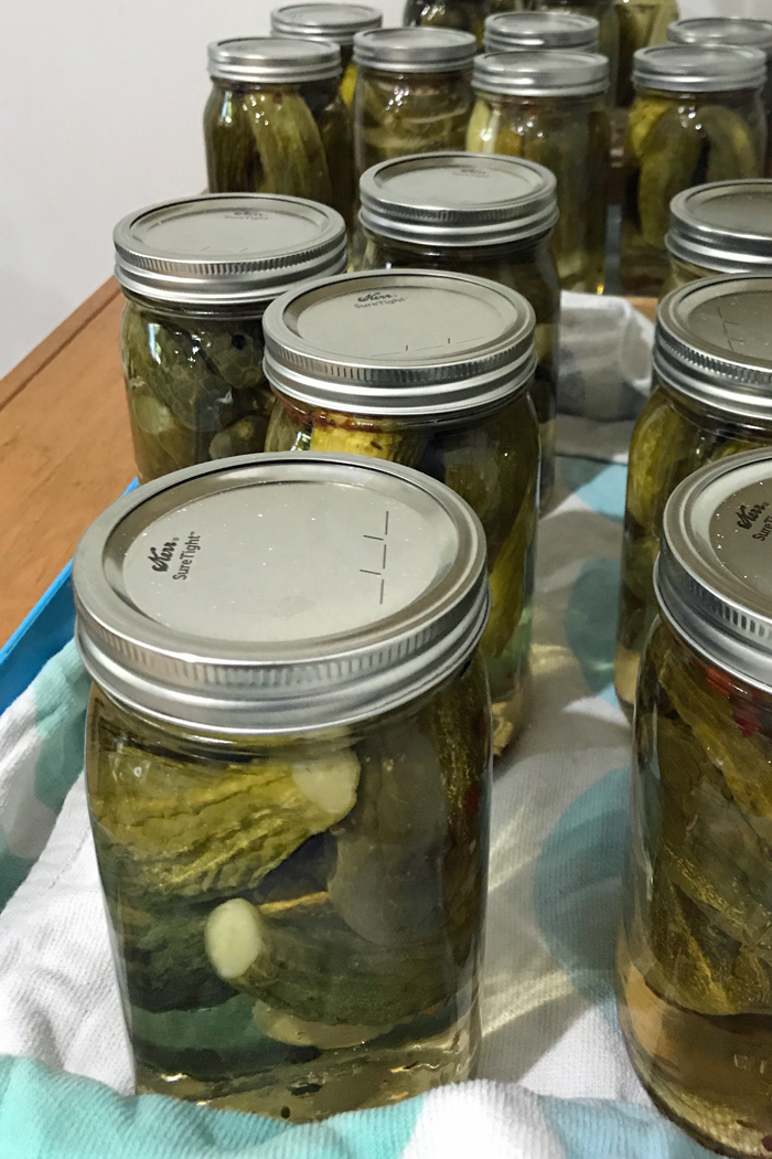 jars of homemade pickles