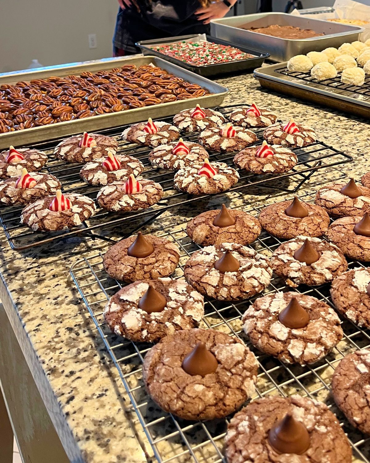 trays of christmas cookies and candies on counter.