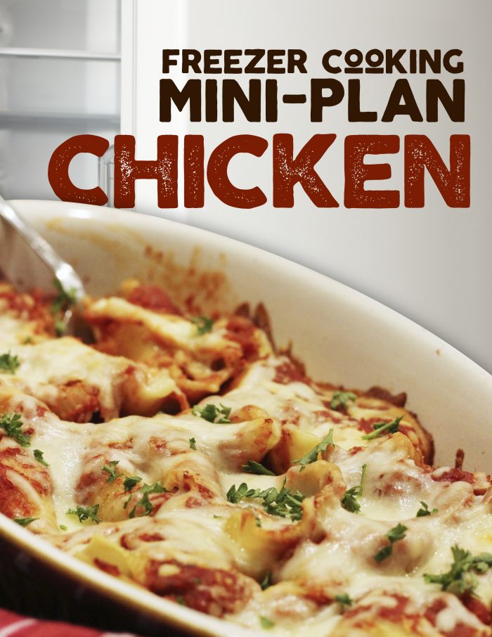 cover of freezer cooking plan