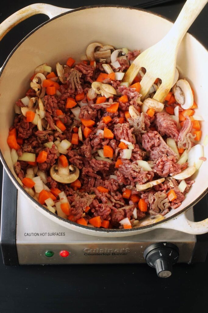 cooking meat and veg in pot
