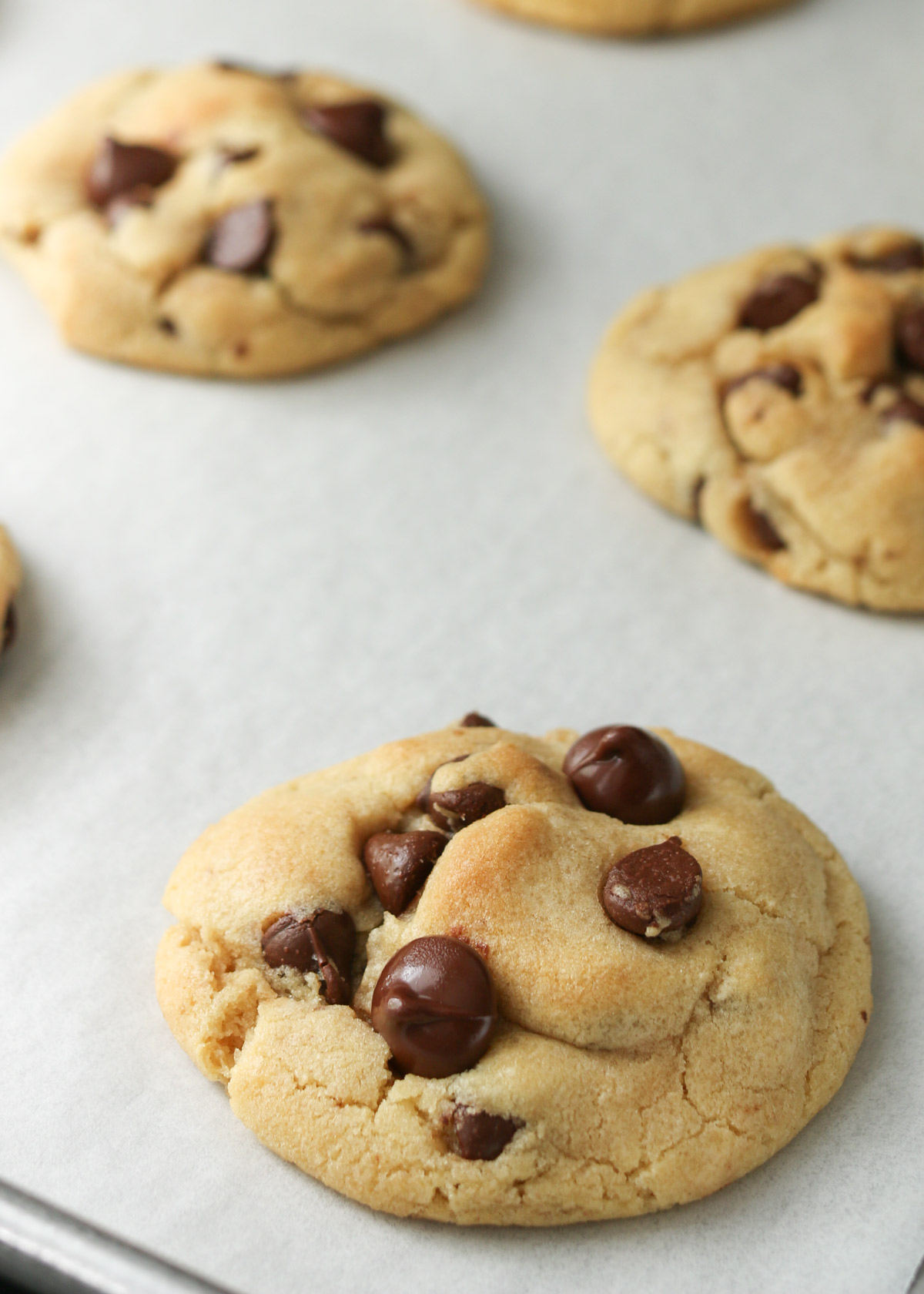 close up of chocolate chips atop a cookie on a tray with other cookies.