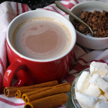 red mug of hot cocoa surrounded by toppings.