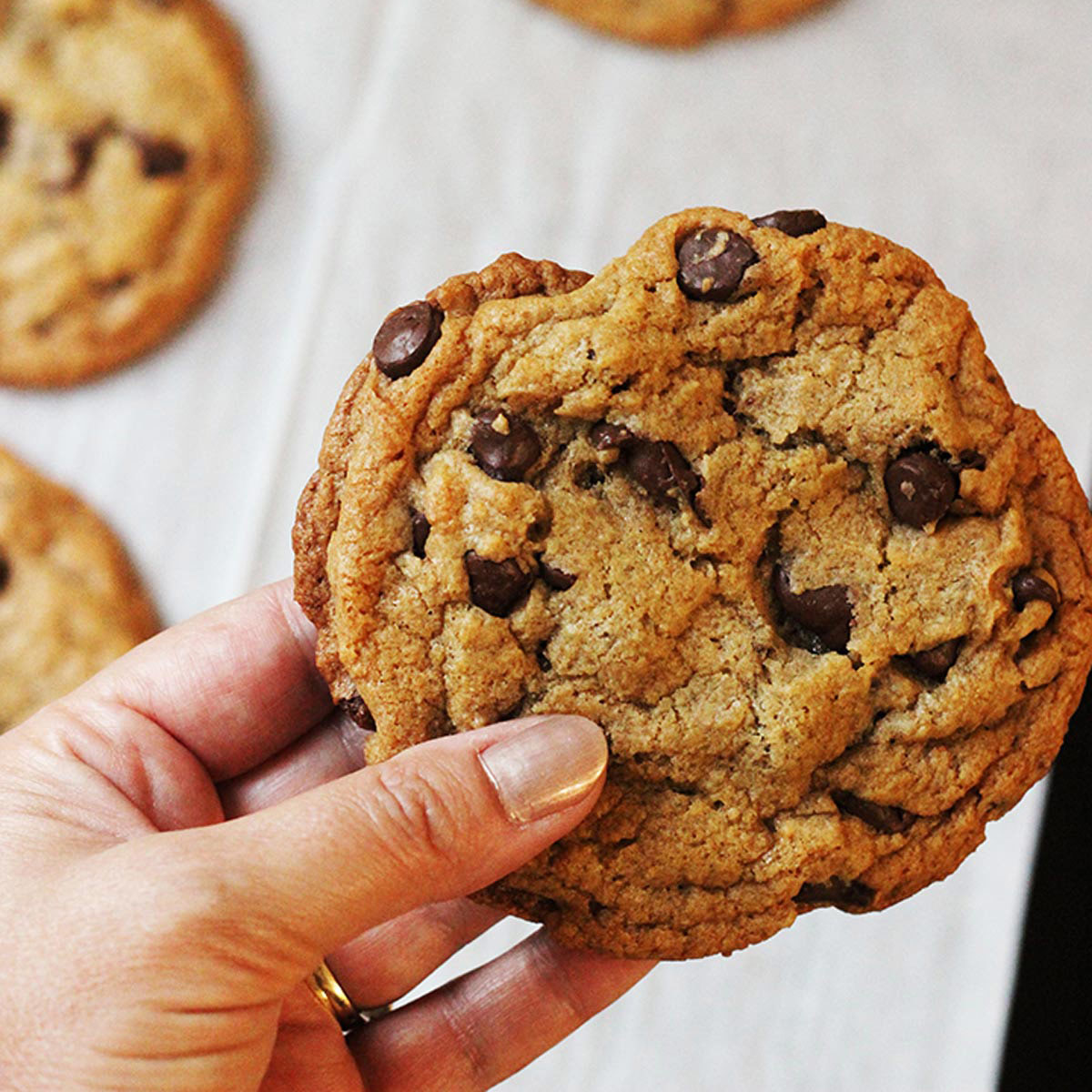 hand holding homemade chocolate chip cookies.