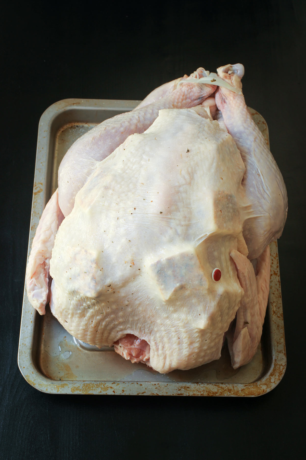 turkey prepped for roasting on a rimmed tray.