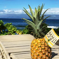 pineapple on lounge chair by ocean