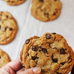 woman's hand holding jumbo chocolate chip cookie above a pan of cookies